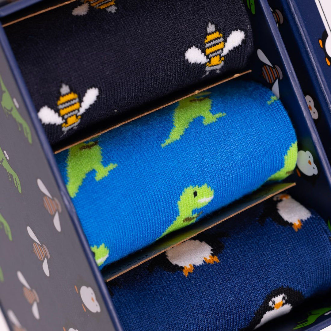 Fun Sock Box - 3 Pairs of Bamboo Socks (His)