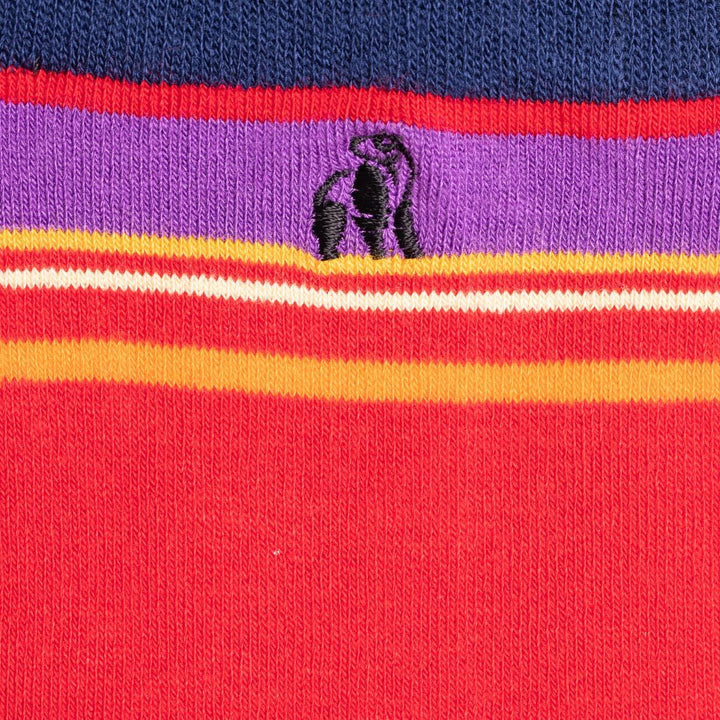 Red Multi Stripe Bamboo Socks