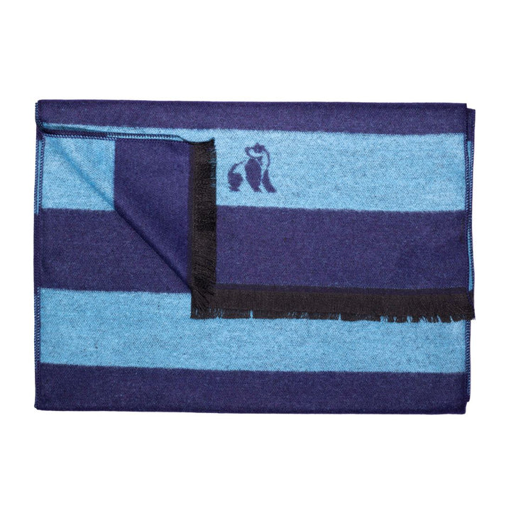 Sky Blue Stripe Bamboo Scarf