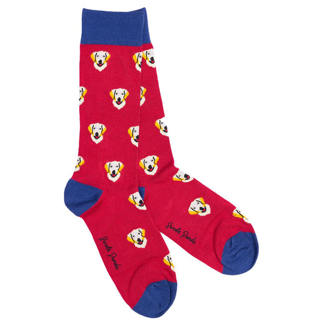 Funky Mens Socks - Retriever Bamboo Socks