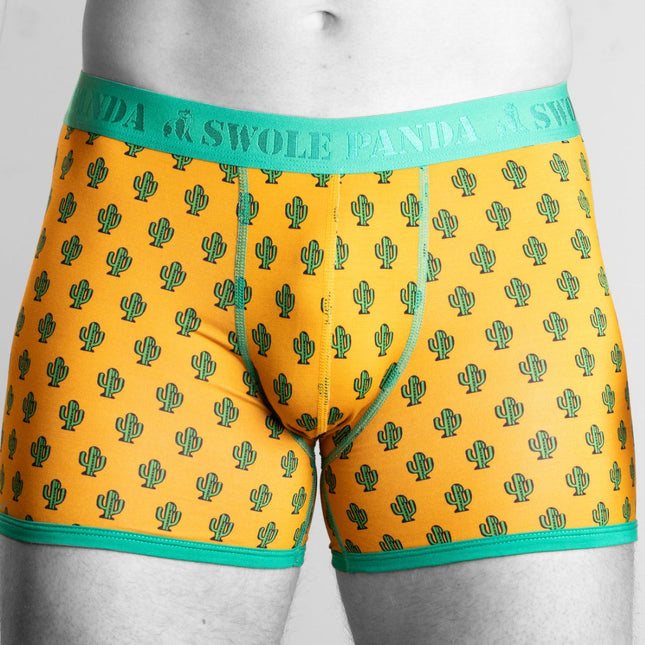 Patterned Bamboo Underwear - Bamboo Boxers - Cactus