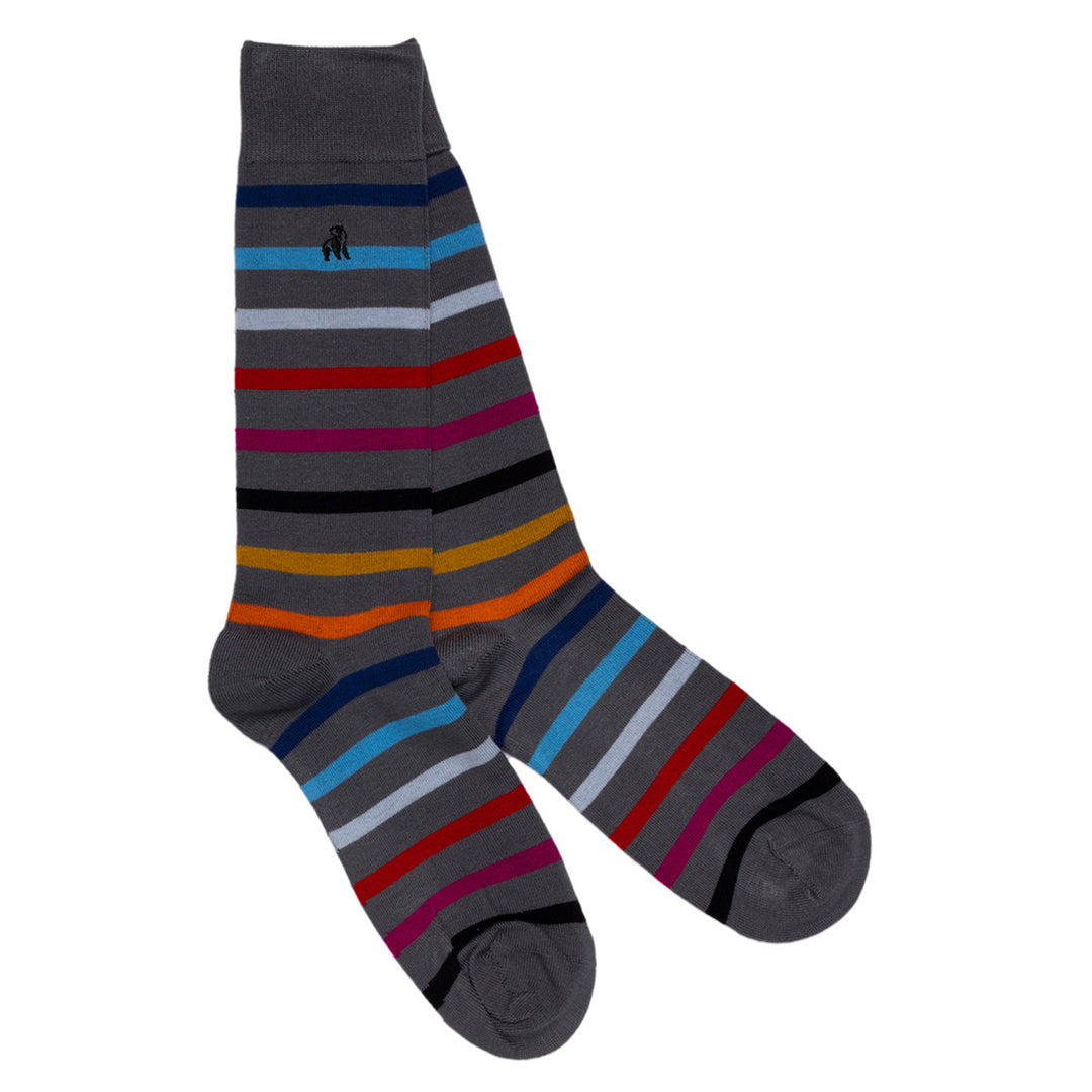 Narrow Stripe Sock Bundle - Four Pairs