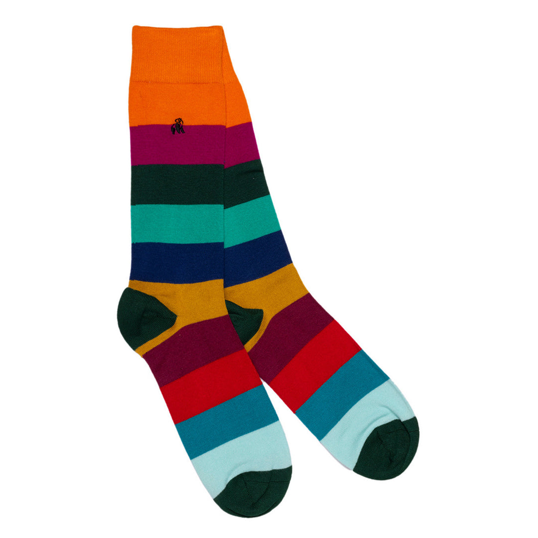 Narrow Stripe Sock Bundle - Four Pairs