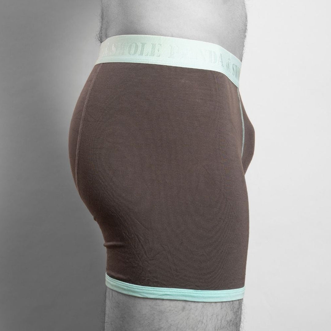 Bamboo Boxers - Grey / Mint Band